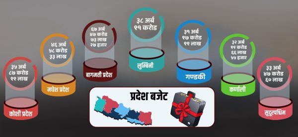 प्रदेशको बजेट : बागमतीको सबभन्दा धेरै, गण्डकीको कम