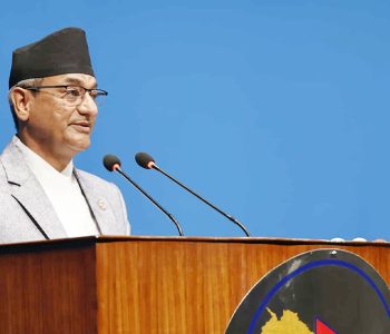 भिजिट भिसा प्रकरण : उच्चस्तरीय छानबिन समितिलाई ९ कार्यादेश