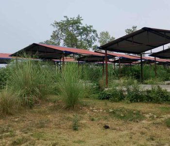 निर्माण सकिएको चार वर्ष बितिसक्दा पनि सालझण्डी हाटबजार प्रयोगविहीन, लाखौं लगानी झाडीमा परिणत