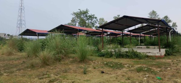 निर्माण सकिएको चार वर्ष बितिसक्दा पनि सालझण्डी हाटबजार प्रयोगविहीन, लाखौं लगानी झाडीमा परिणत