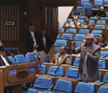 भिजिट भिसा प्रकरणले संसदमा ‘रमिता’ छ
