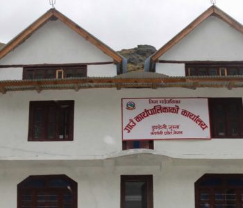 अनुगमनमा गएका वडाध्यक्षमाथि चक्कु प्रहार