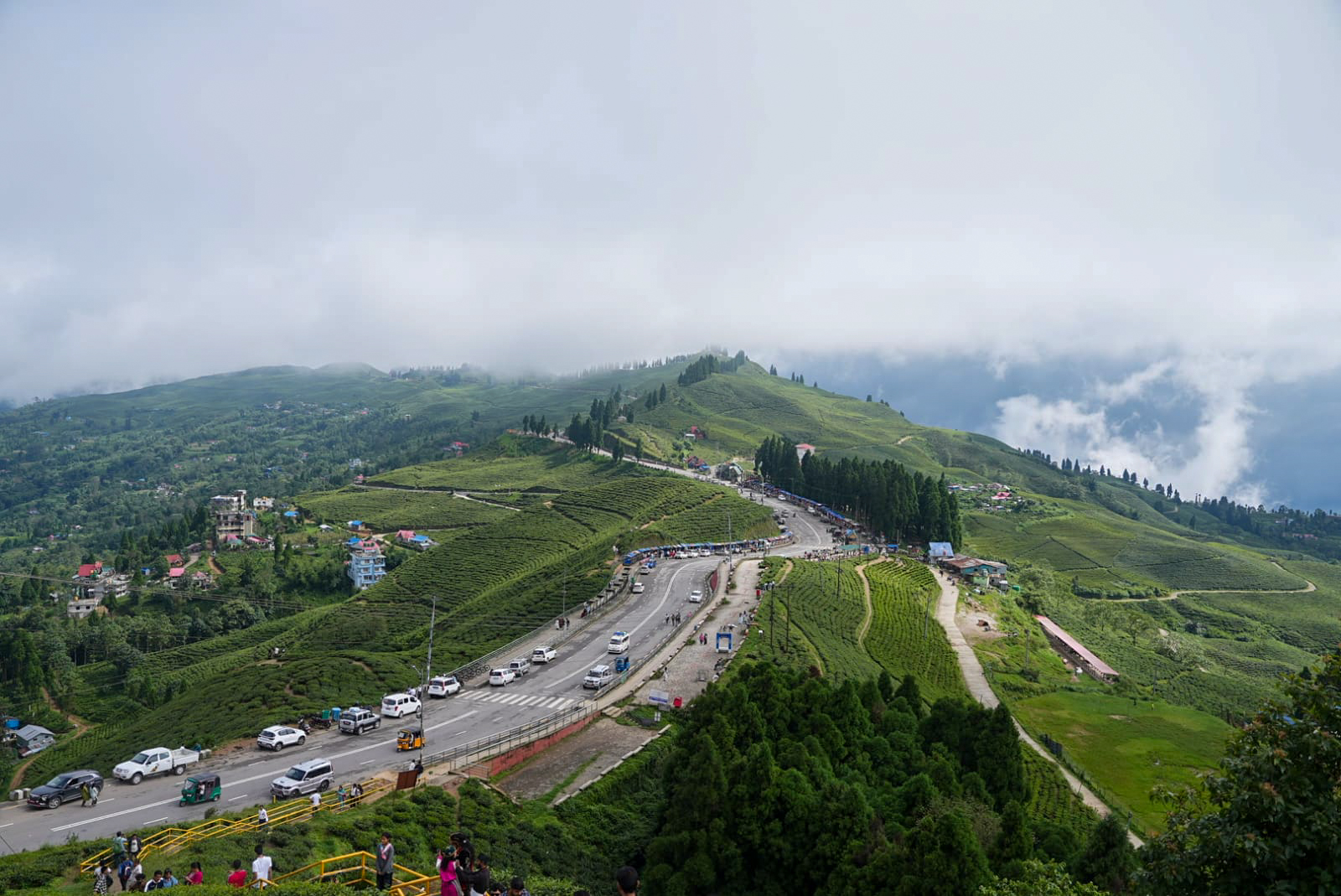 कन्यामका चिया बगान (तस्वीरहरू)