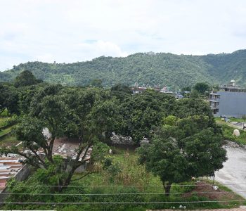 ‘घुस डिल’मा राजकुमार गुप्ता मुछिएको पोखराको ‘लिची गार्डेन’ (तस्वीरहरू)