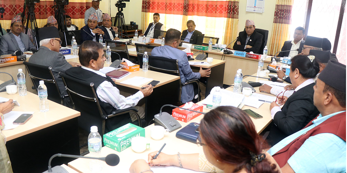 राज्य व्यवस्था समितिमै उठ्यो निजामती विधेयक प्रकरणमा संसदीय छानबिन माग
