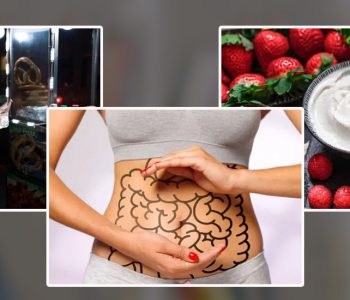 पेटको स्वास्थ्यका लागि के खाने, के नखाने ?