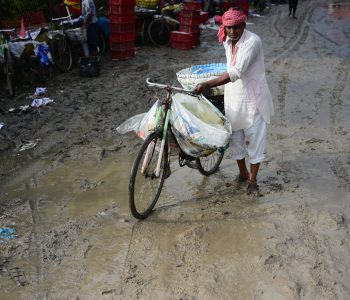 कुलेश्वरको फलफूल बजार हिलाम्य, हरेक वर्ष दोहोरिन्छ समस्या (तस्वीरहरु)