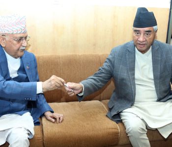 दुई ठूला दलको गठबन्धन असफल देखिने आठ कारण