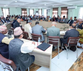 पोटिब्युरोबाट पनि पारित भयो उमेरहद र कार्यकालको विषय, विद्या भण्डारीबारे निर्णय केन्द्रीय कमिटीबाट